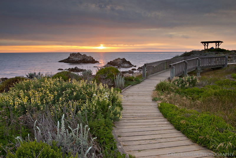 Asilomar Conference Grounds MSIA