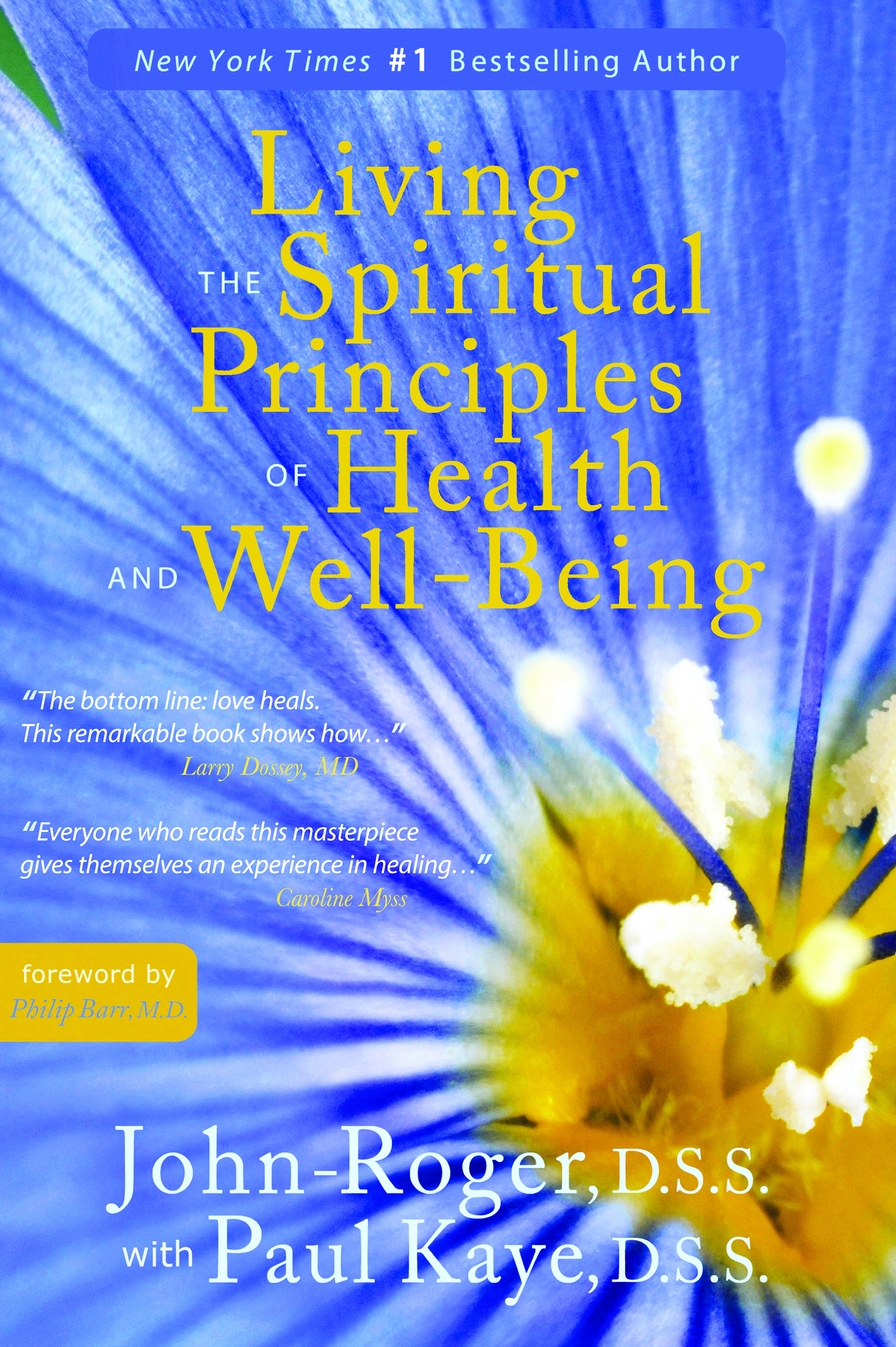 Living The Spiritual Principles Of Health And Well Being Free Chapter In Pdf Msia Store